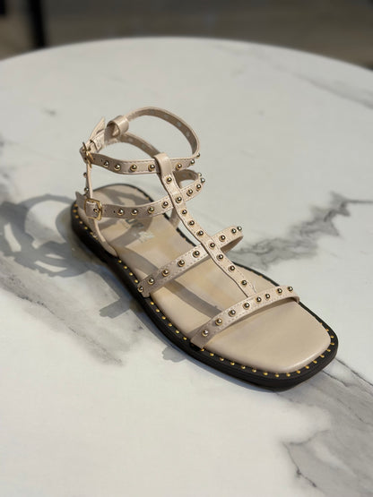 Studded Gladiator Flat Sandal