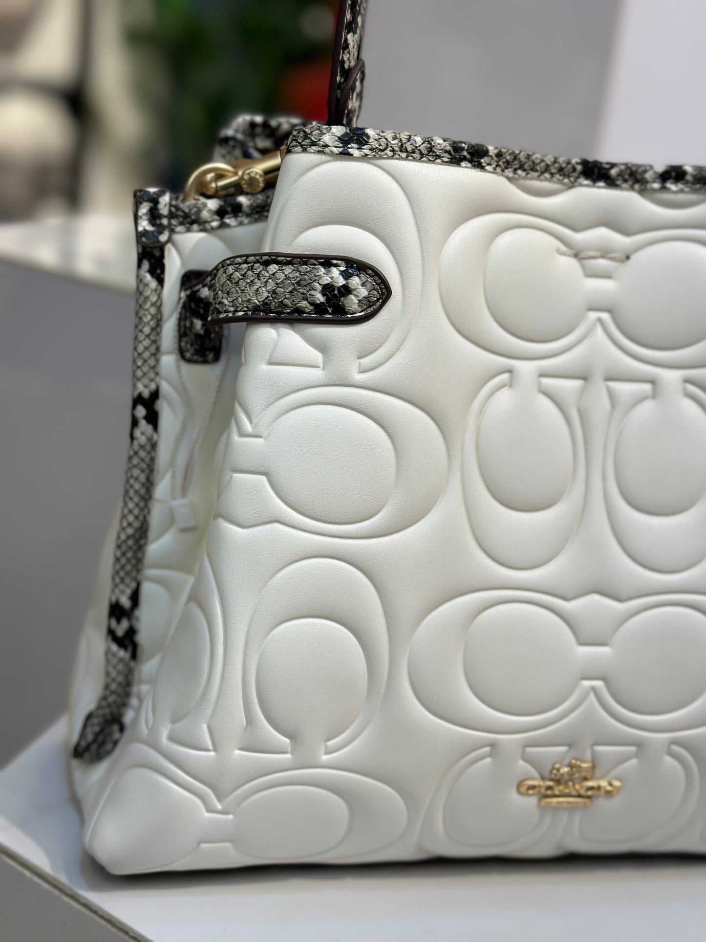 Coach Handbag - Master Quality
