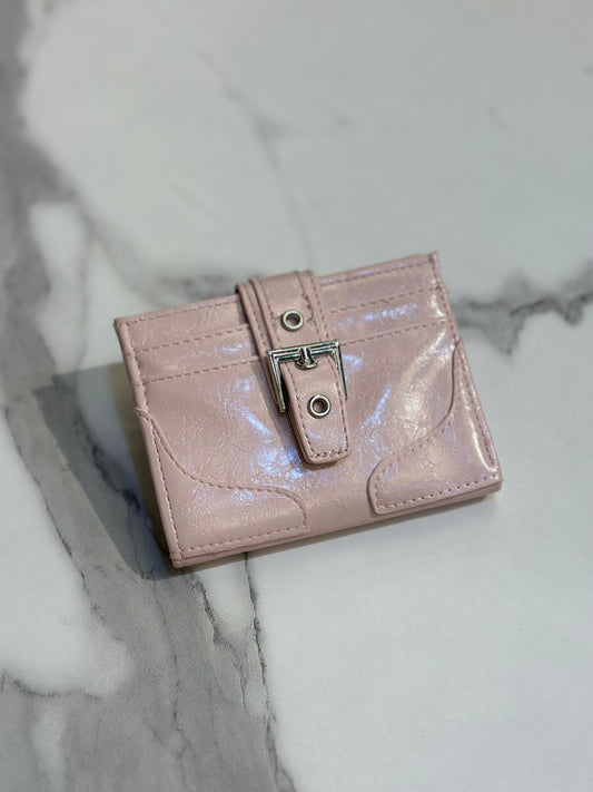 Shiny wallet
