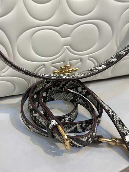 Coach Handbag - Master Quality